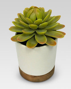 Artificial Plant 2