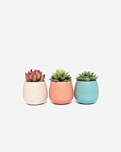 Geometric Terracota Pot 2